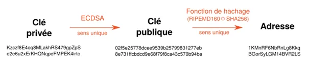 article bitcoin Dérivation de l'adresse Bitcoin à partir de la clé publique