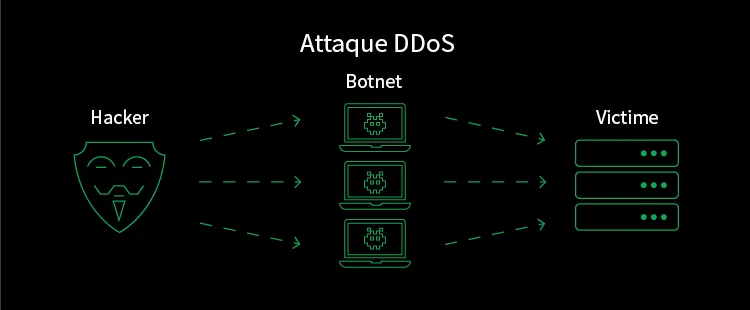 attaque ddos cybersécurité botnet hacker victime