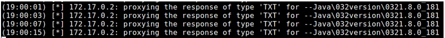 output dnschef