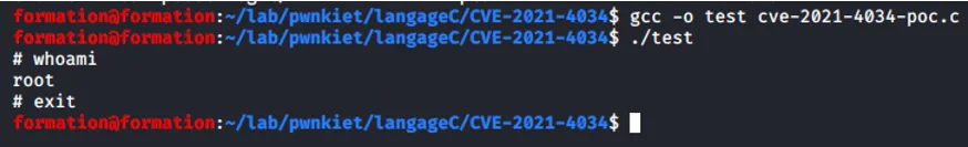 code de vulnerabilite pwnkit